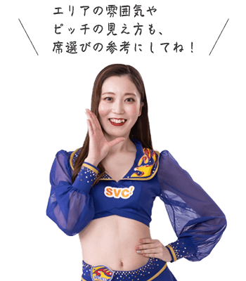 エリアの雰囲気や、ピッチの見え方も席選びの参考にしてね!