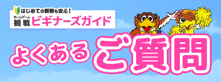 ビギナーズガイド よくあるご質問